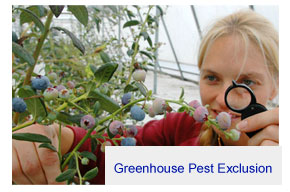 greenhouse pest exclusion