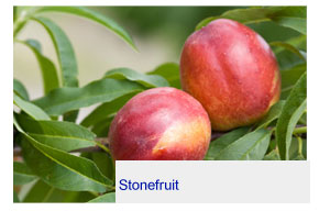 stonefruit